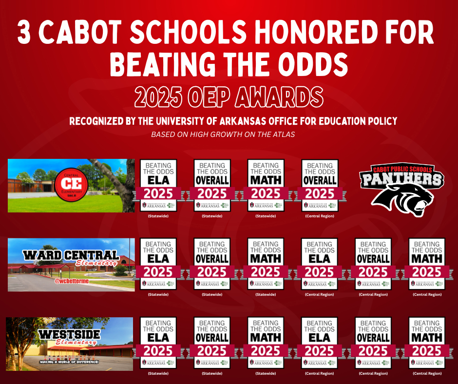 Beating the Odds Awards